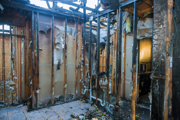 Professional Structural Rebuild technician working in Renton, WA